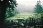 dailyPhoto29